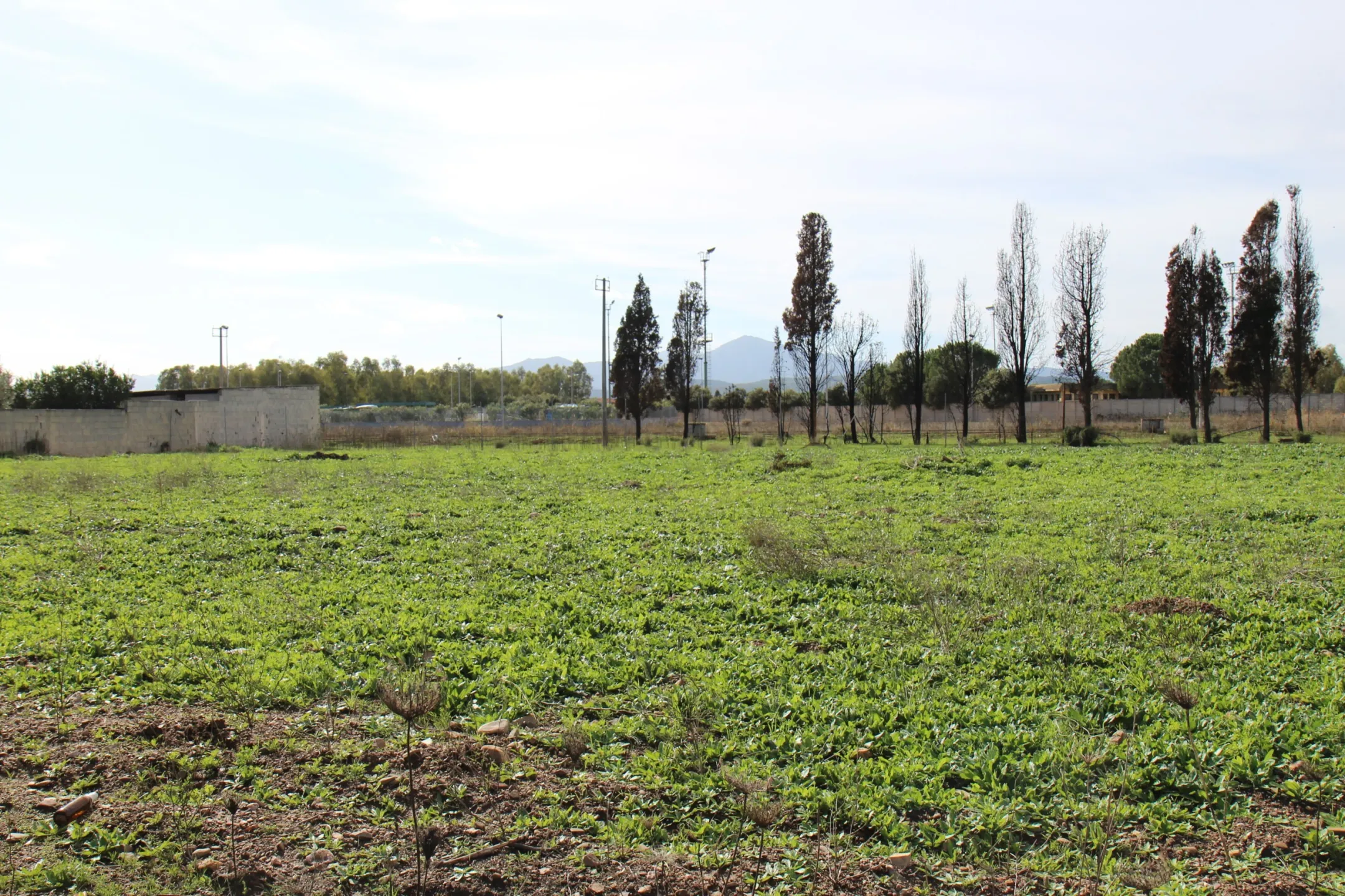 Immagine per Industriale in vendita a Uta via Pietro Mascagni 15