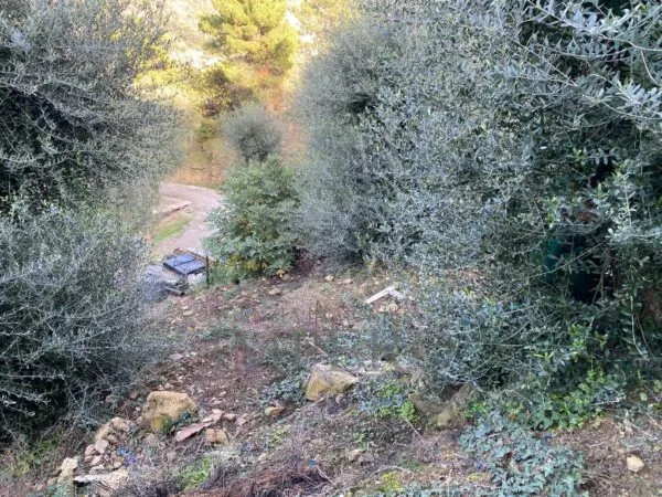 Villa Trifamiliare via Umberto Lorenzi, Ventimiglia