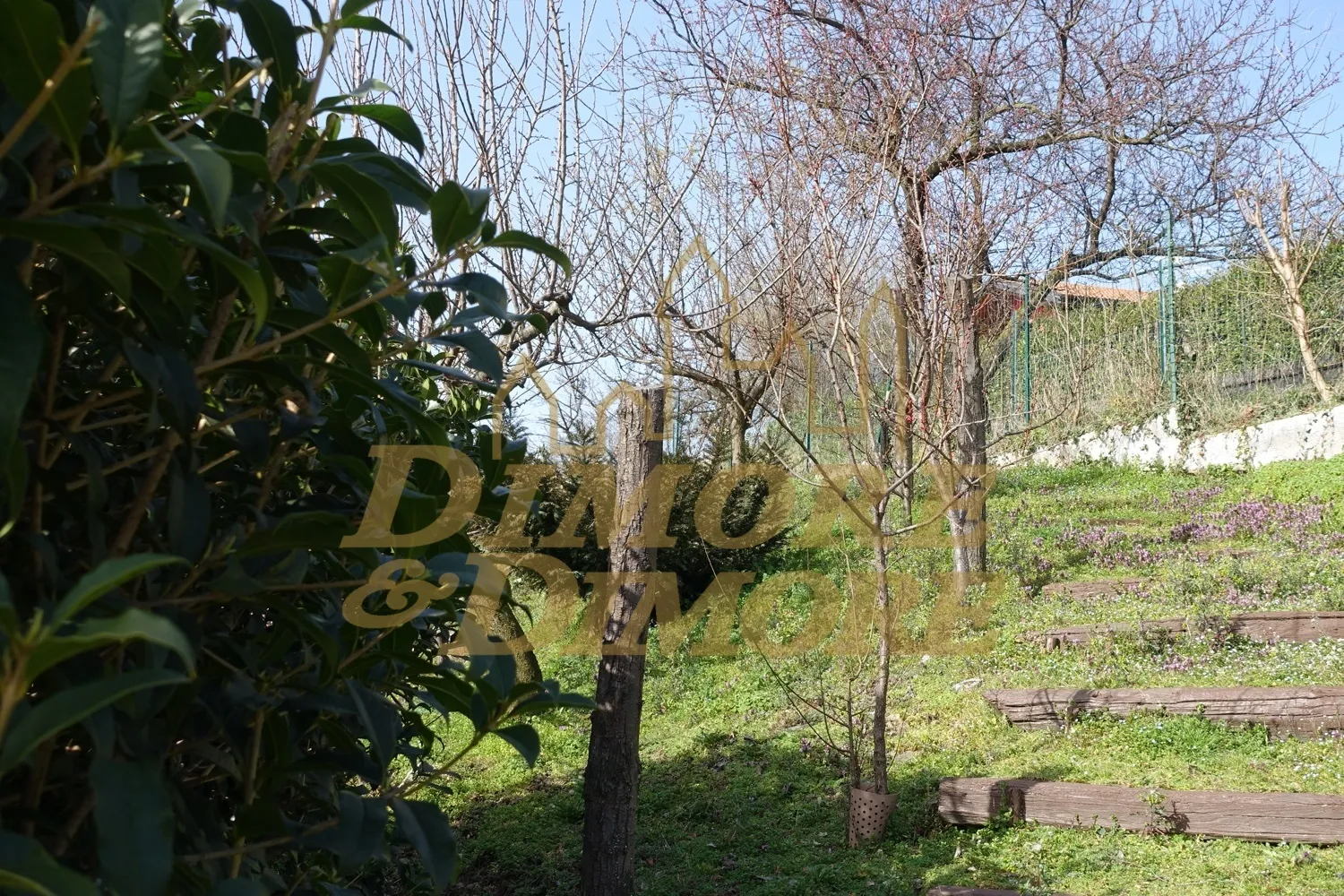 Immagine per Villa in vendita a San Bernardino Verbano via Del Sole