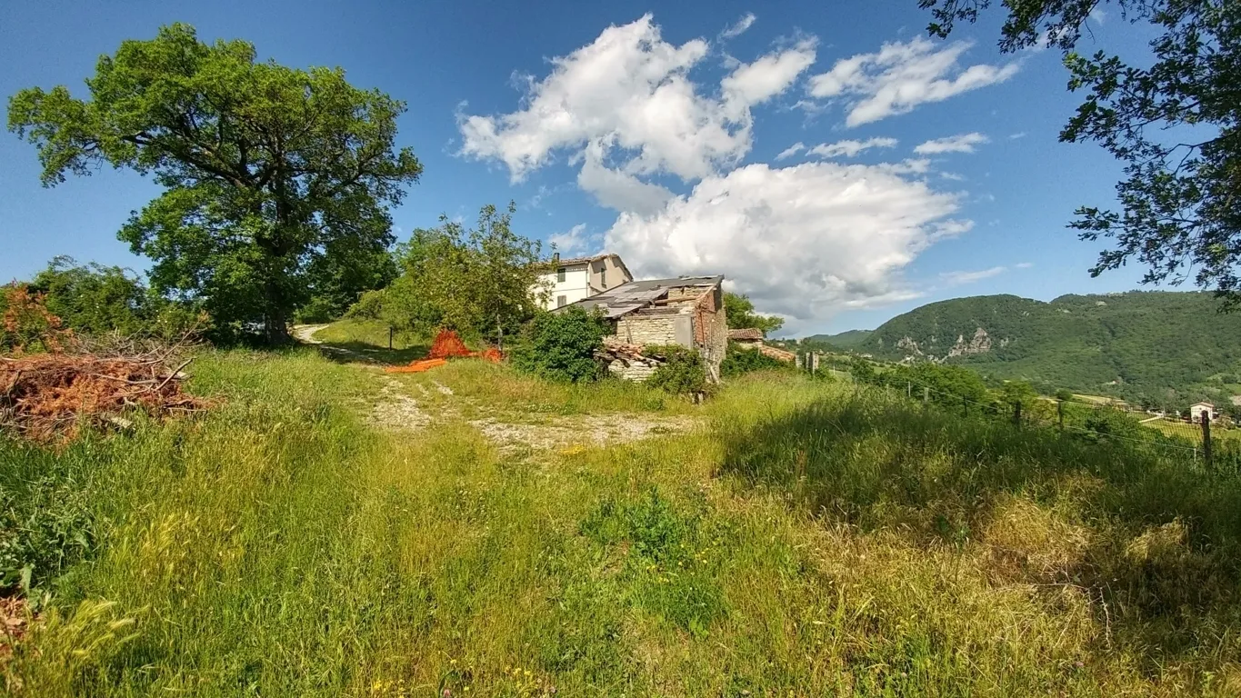 Immagine per Rustico in vendita a Zocca 1271