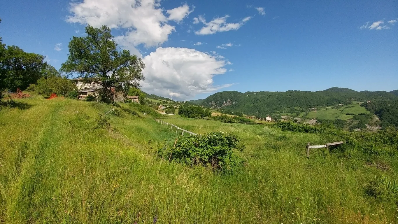 Immagine per Rustico in vendita a Zocca 1271