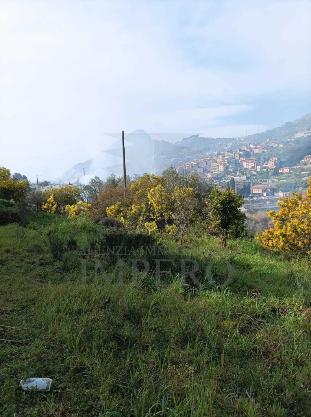 Immagine per Terreno Agricolo in vendita a San Biagio della Cima strada Cannavaira