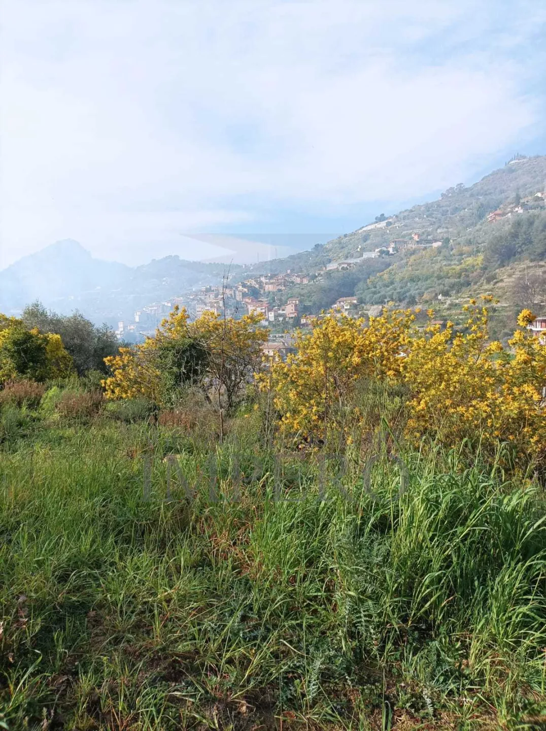 Immagine per Terreno Agricolo in vendita a San Biagio della Cima strada Cannavaira