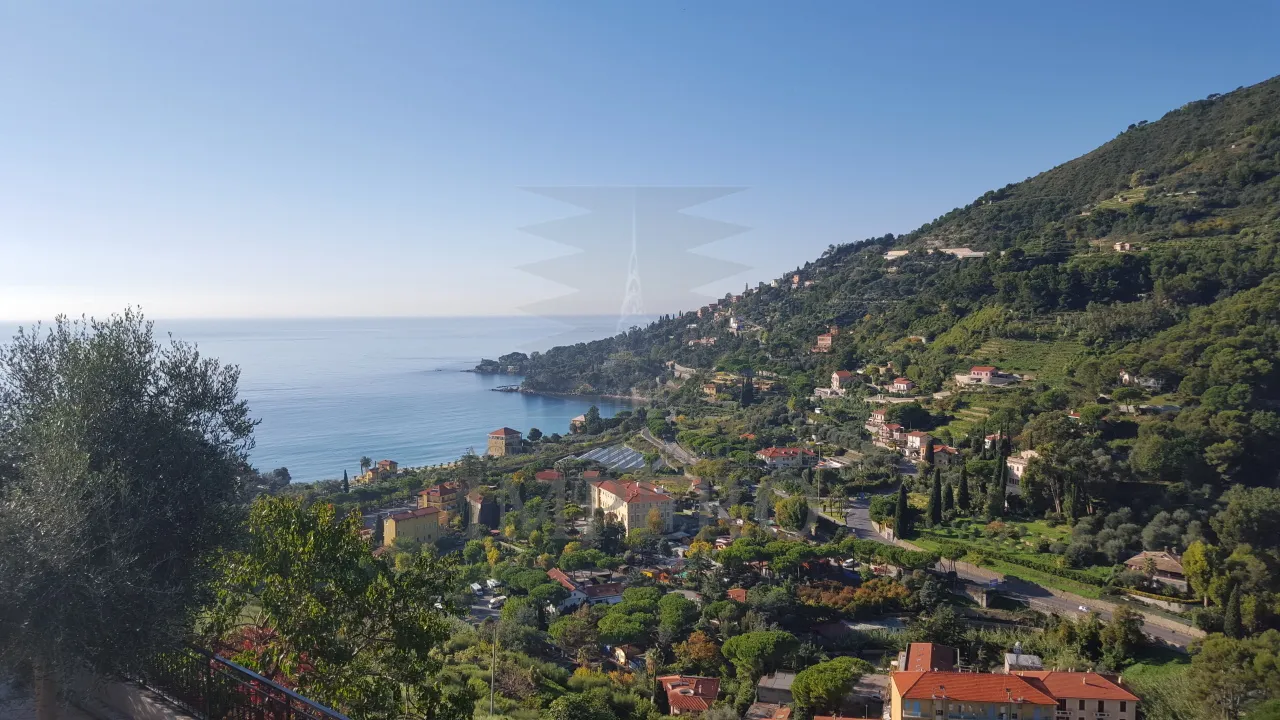 Immagine per Villa in vendita a Ventimiglia via Piemattone 10