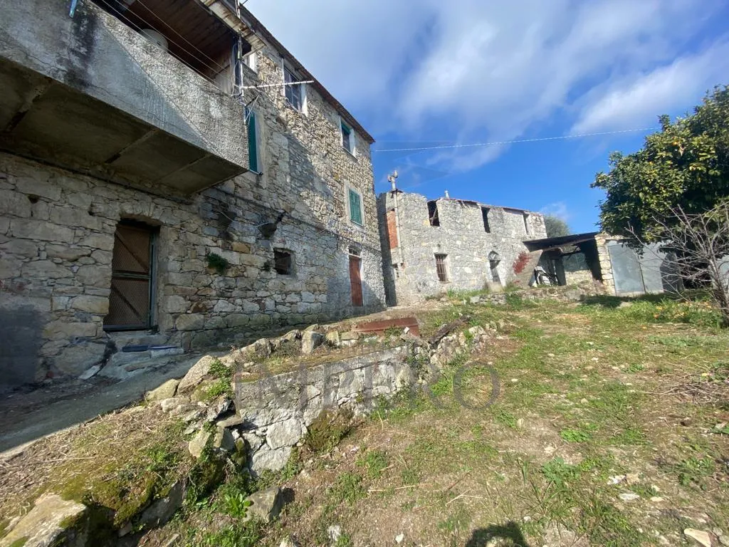 Immagine per Villa in vendita a Ventimiglia via Delle Otto Case 199