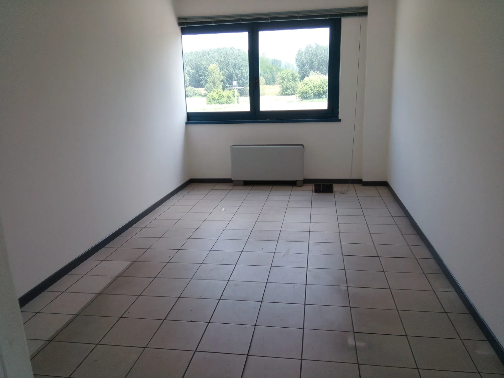 Immagine per Area verde in vendita a Lucca via Vecchi Pardini