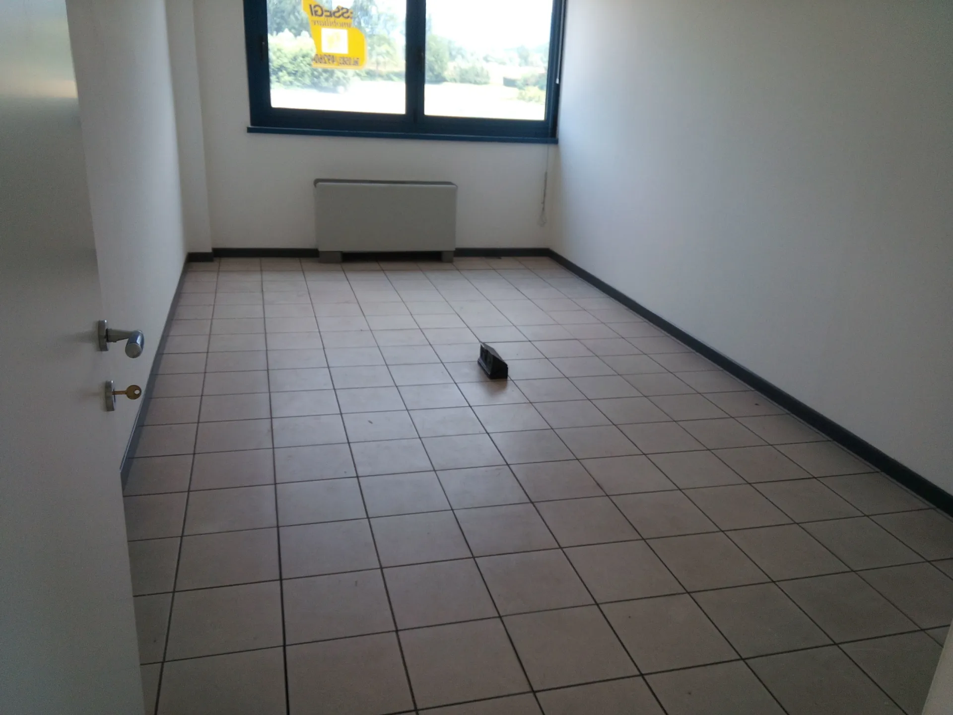 Immagine per Area verde in vendita a Lucca via Vecchi Pardini
