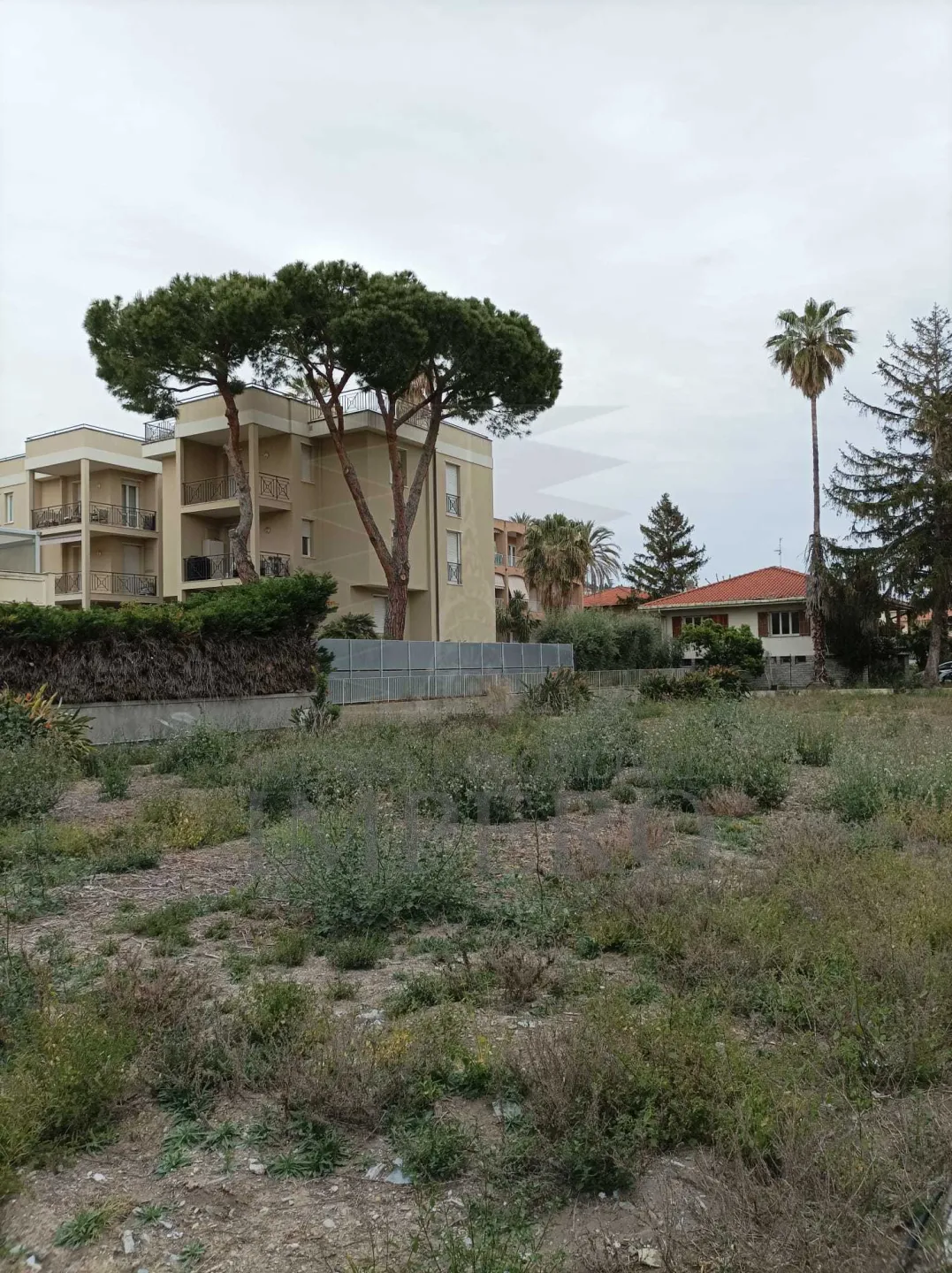 Immagine per Area verde in vendita a Bordighera via Gerolamo Rossi