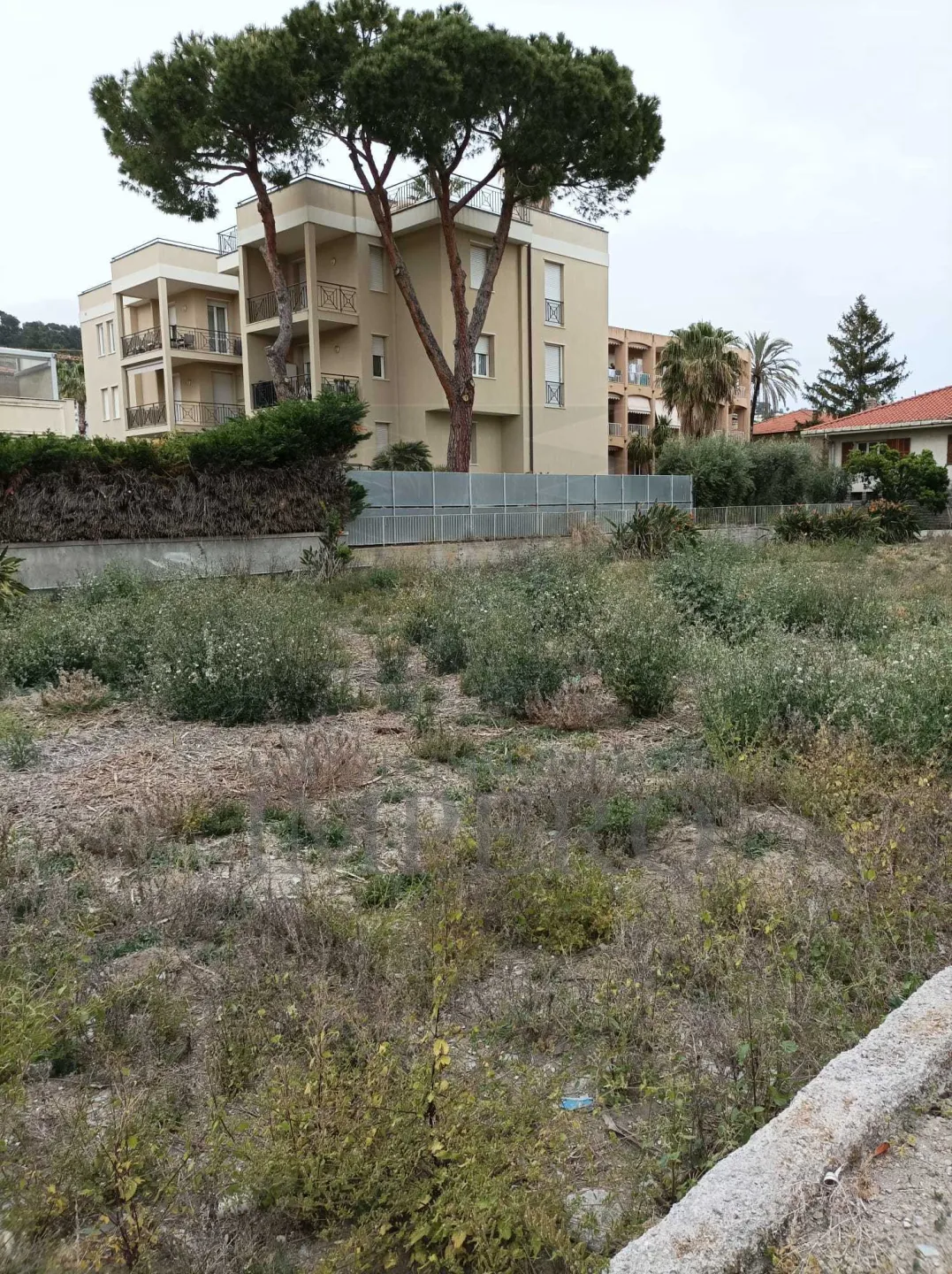 Immagine per Area verde in vendita a Bordighera via Gerolamo Rossi