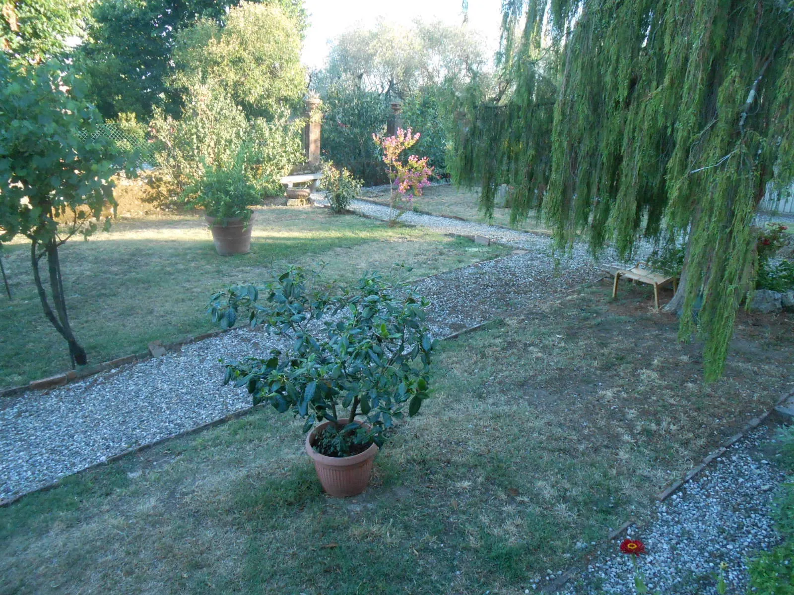 Immagine per Rustico in vendita a Lucca strada Del Cimitero