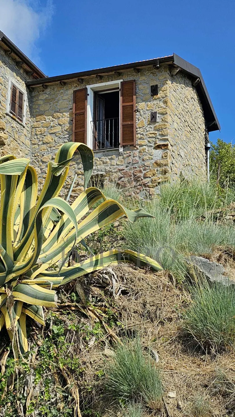 Immagine per Villa trifamiliare in vendita a Ventimiglia via Delle Otto Case