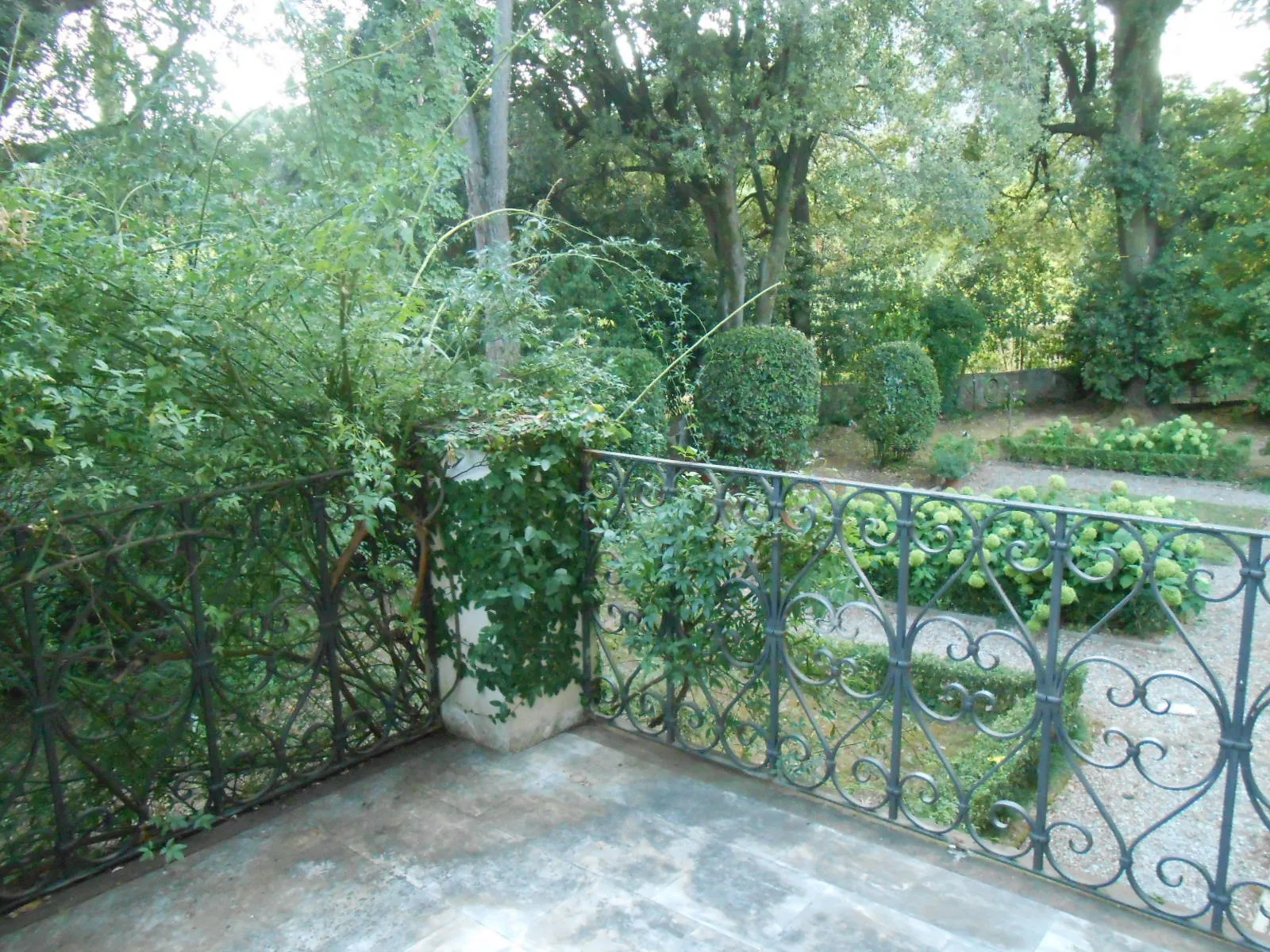 Immagine per Villa in vendita a Lucca via Francesco Ferraris