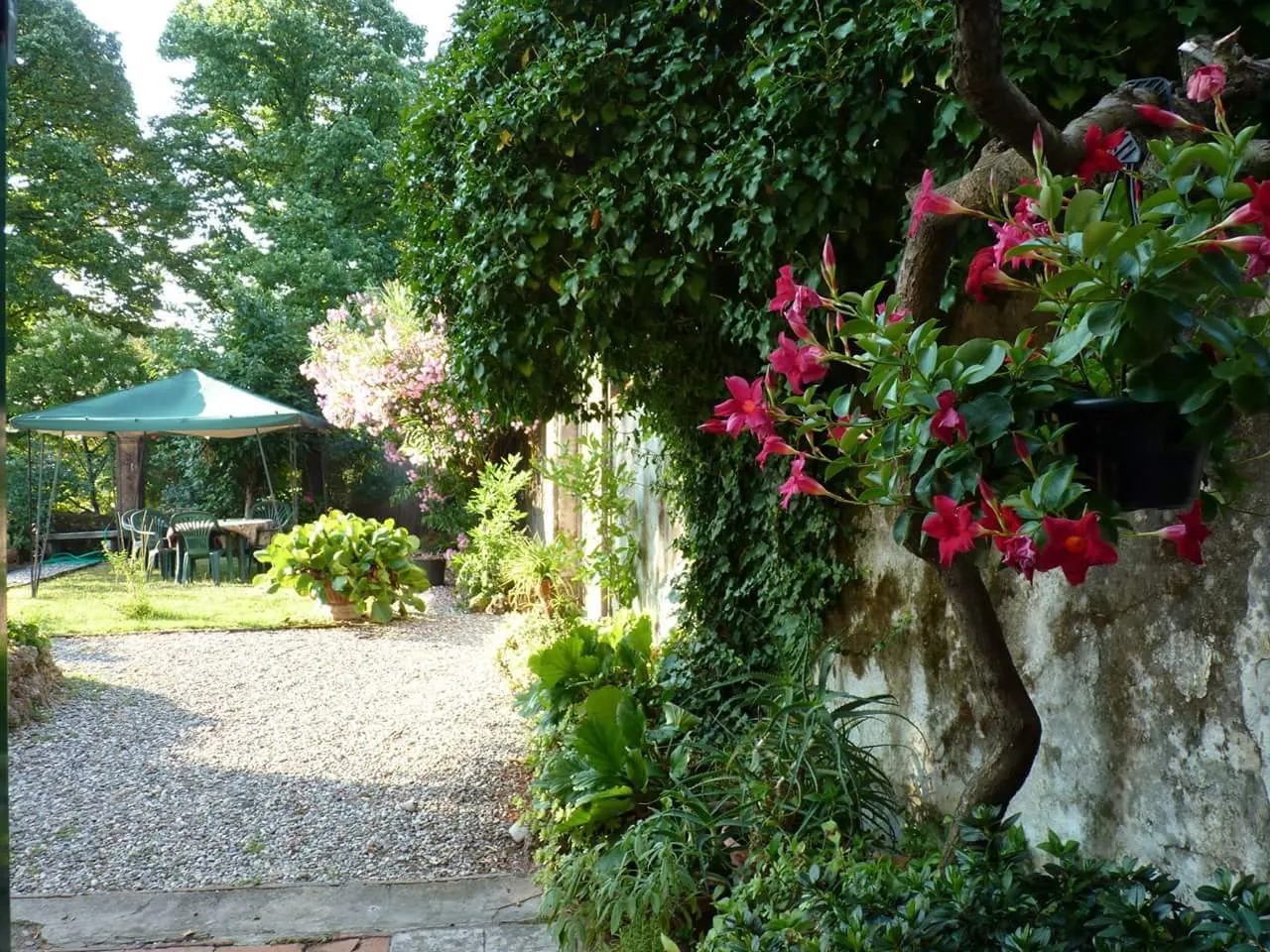 Immagine per Rustico in vendita a Lucca strada Del Cimitero