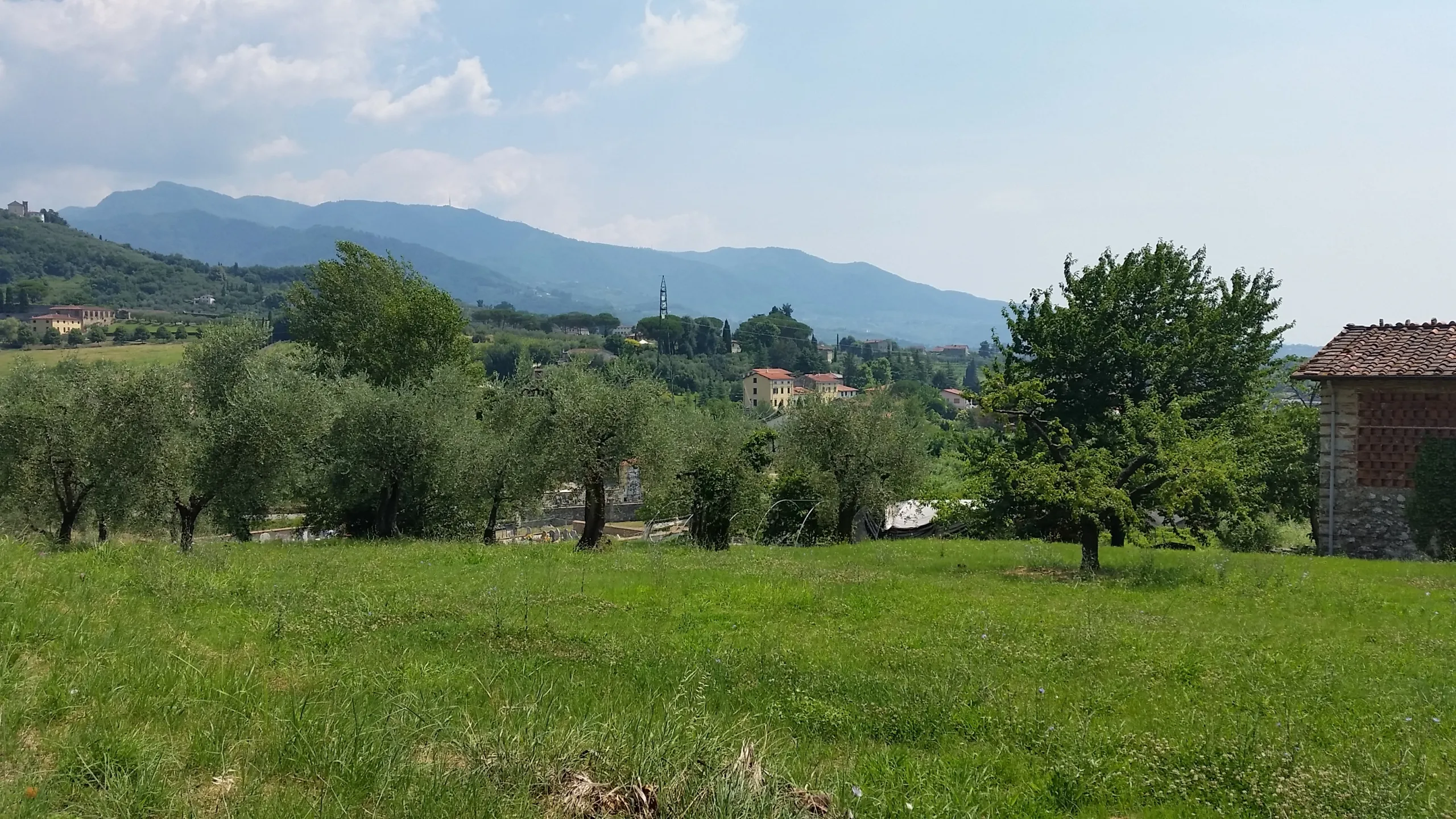 Immagine per Industriale in vendita a Lucca via Francesco Ferraris