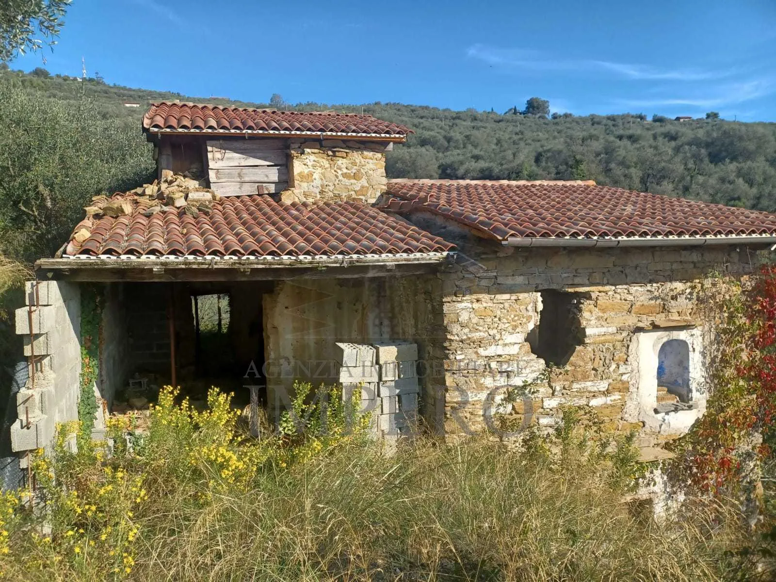 Immagine per Uliveto in vendita a Dolceacqua via Monsignor Bartolomeo Tornatore 55
