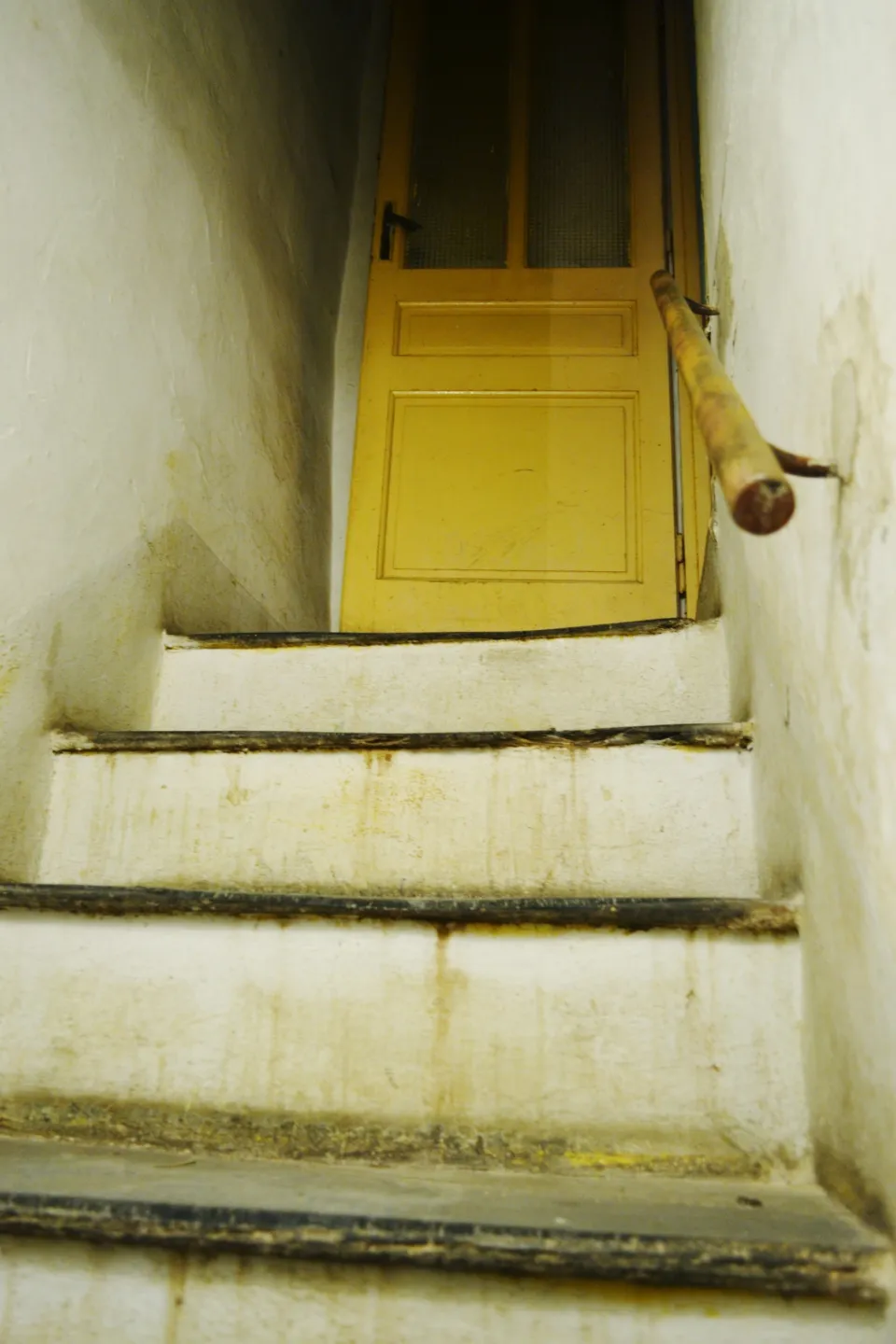 Immagine per Villa in vendita a Perinaldo via Maraldi