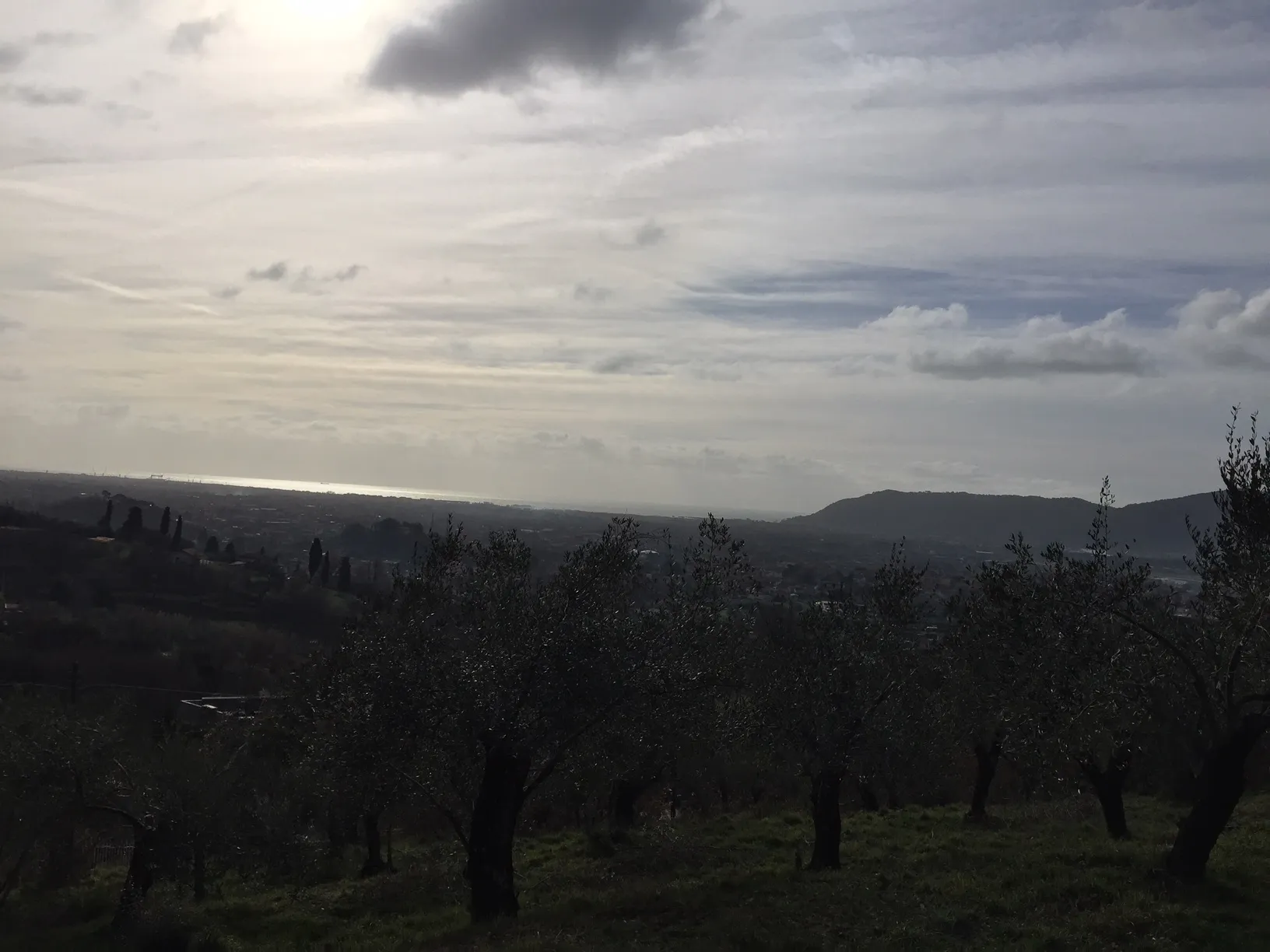 Immagine per Villa in vendita a Castelnuovo Magra via Montefrancio 82