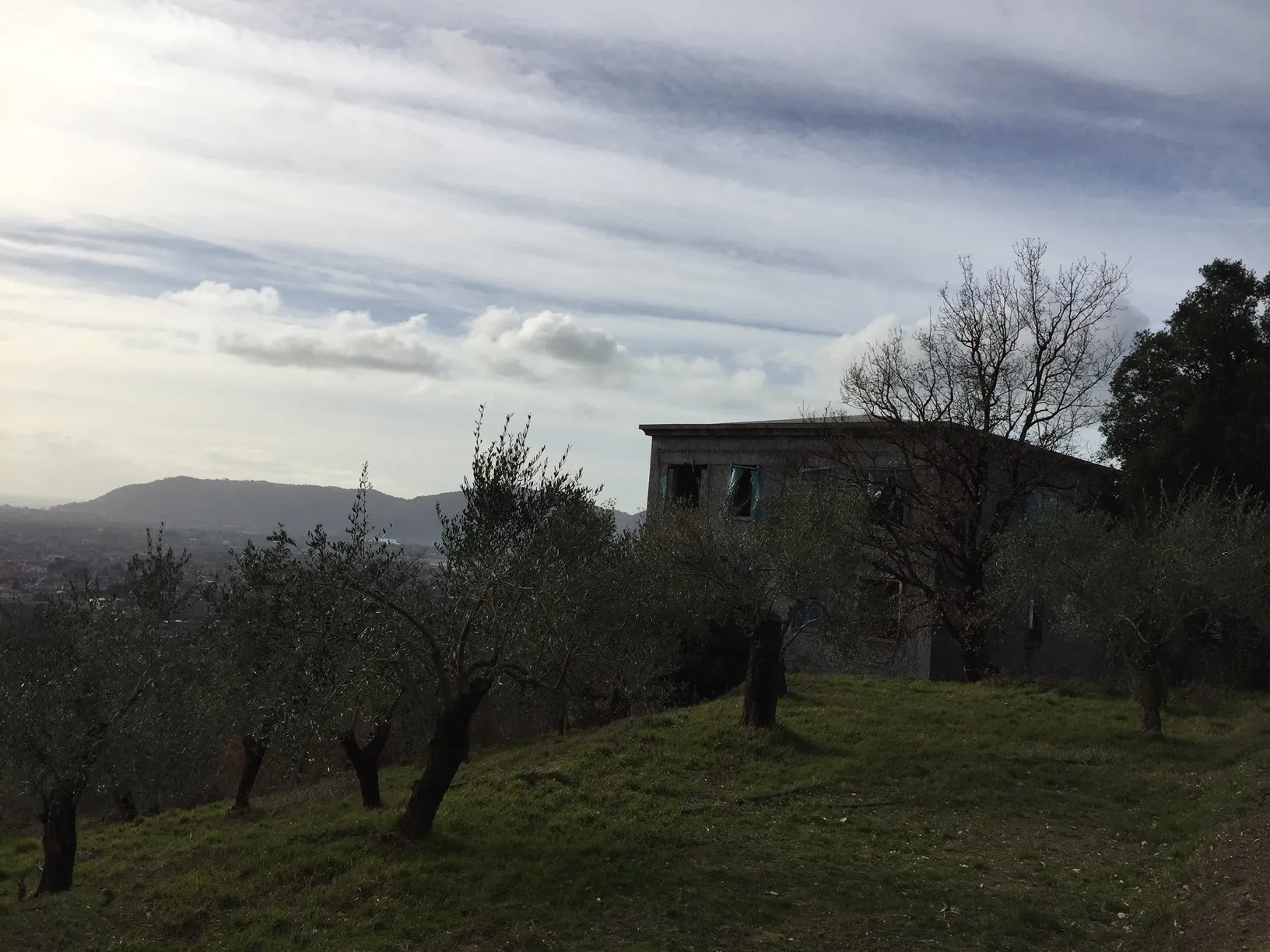 Immagine per Villa in vendita a Castelnuovo Magra via Montefrancio 82