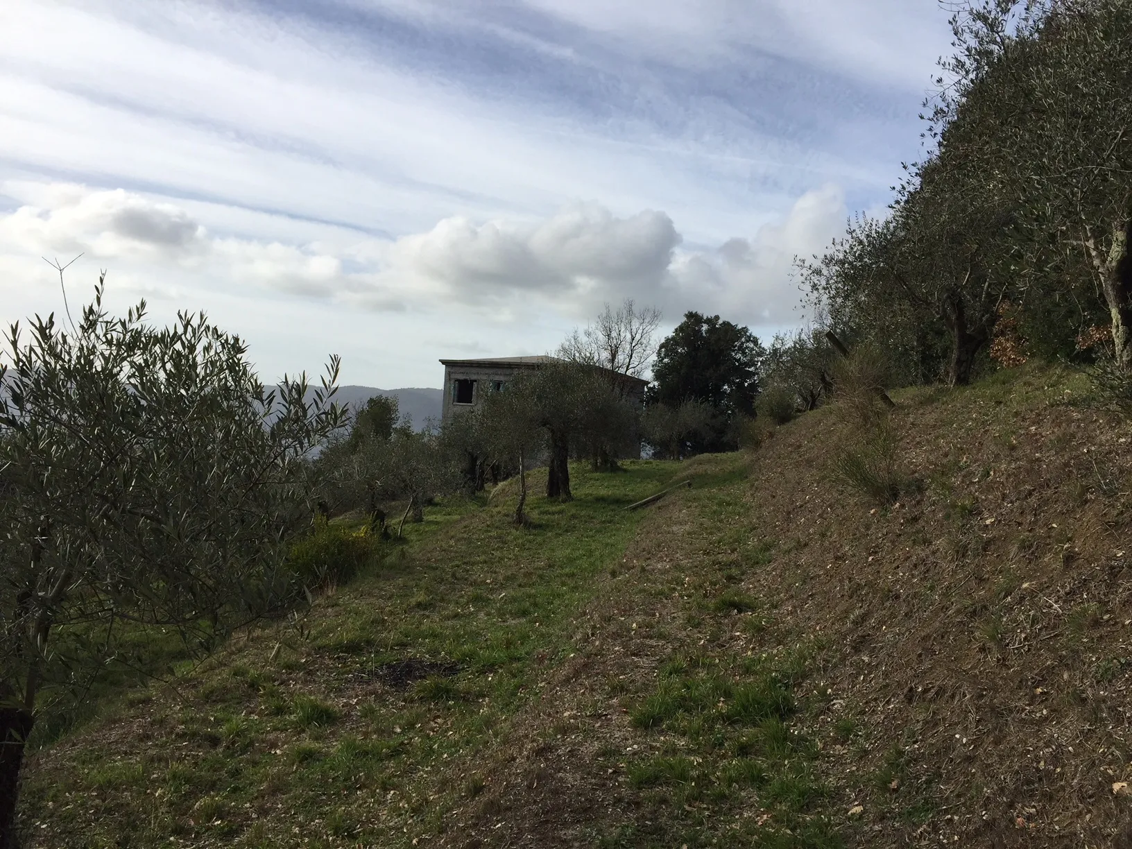 Immagine per Villa in vendita a Castelnuovo Magra via Montefrancio 82