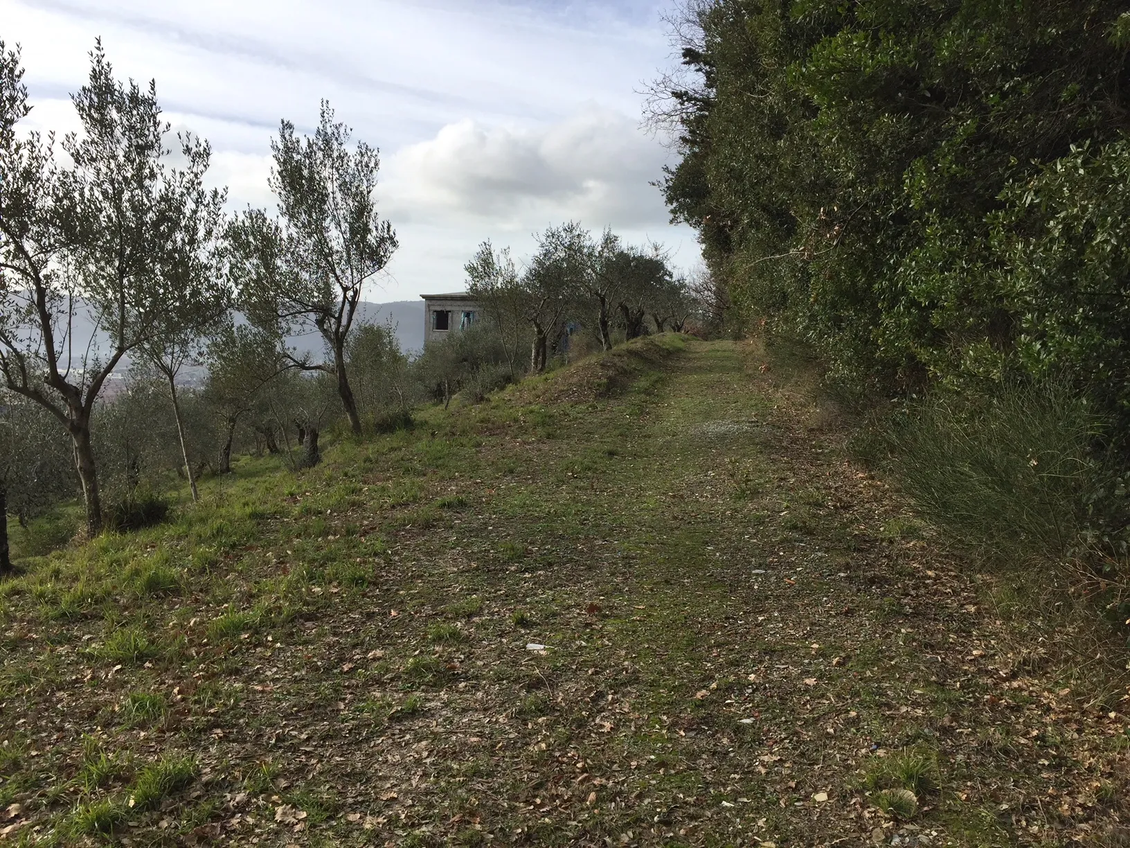 Immagine per Villa in vendita a Castelnuovo Magra via Montefrancio 82