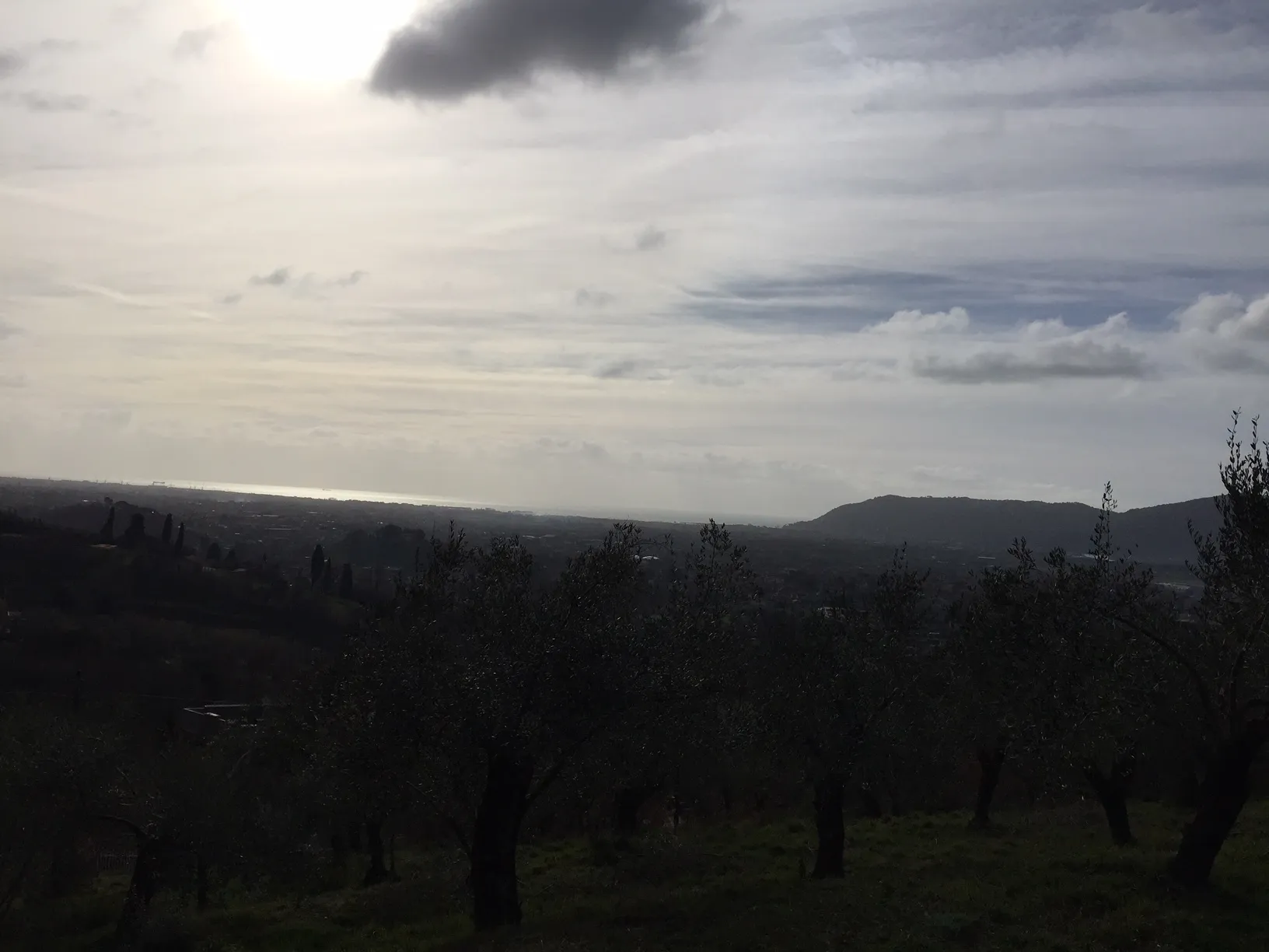 Immagine per Villa in vendita a Castelnuovo Magra via Montefrancio 82