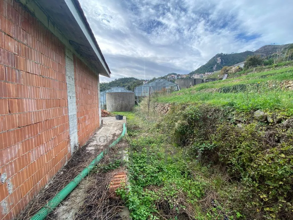 Immagine per Villa trifamiliare in vendita a Ventimiglia via Grammondo 6