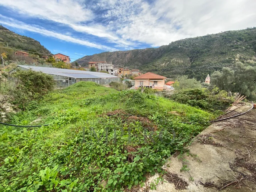 Immagine per Villa trifamiliare in vendita a Ventimiglia via Grammondo 6