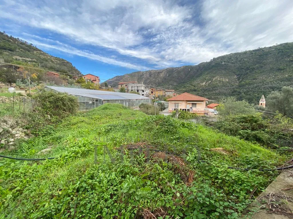 Immagine per Villa trifamiliare in vendita a Ventimiglia via Grammondo 6