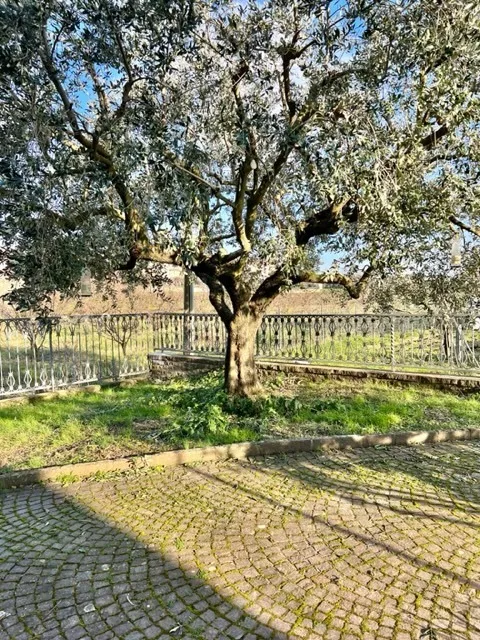 Immagine per Villa in vendita a Cesena via Chiesa Di Tipano