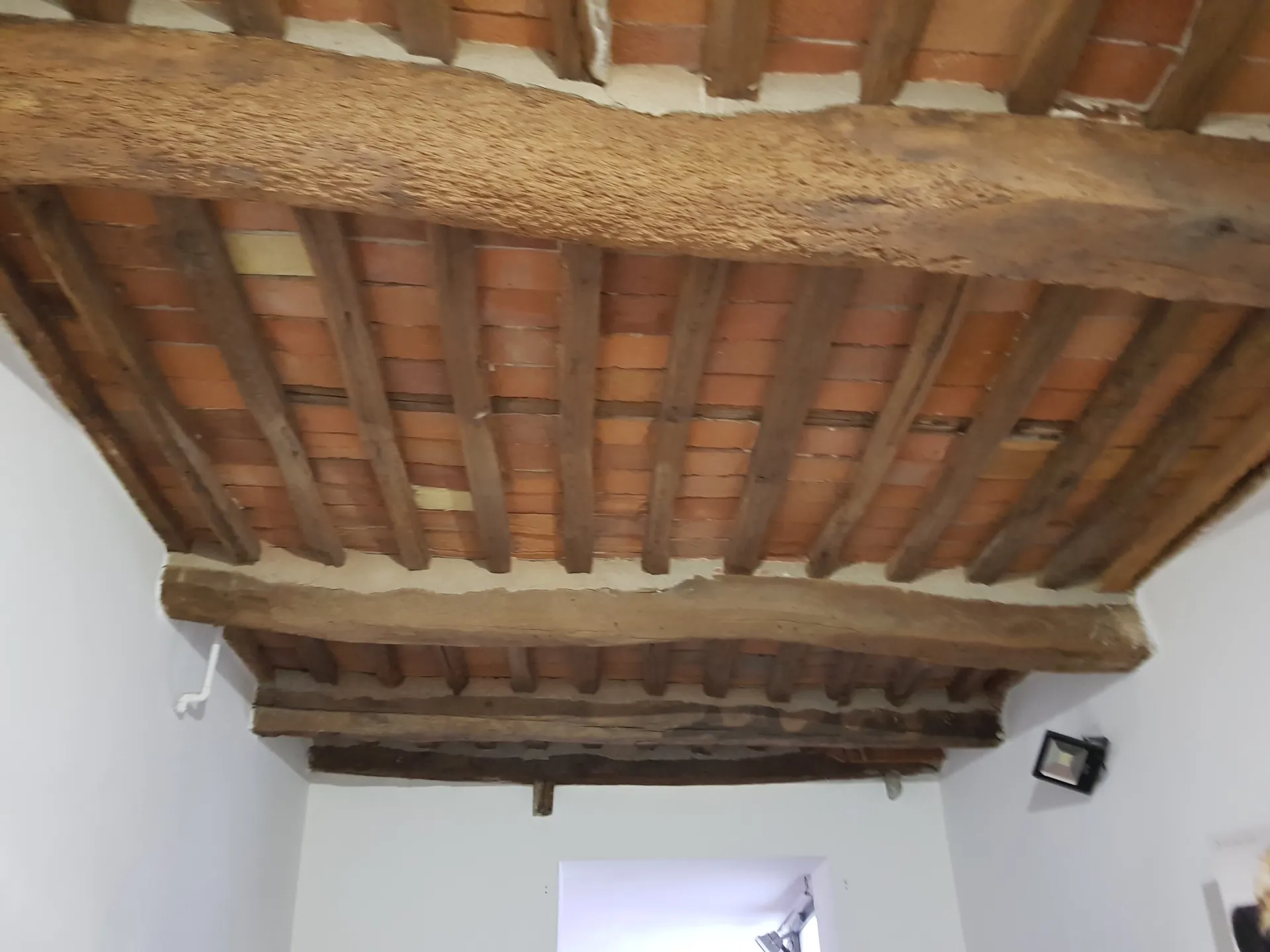 Immagine per Industriale in vendita a Lucca