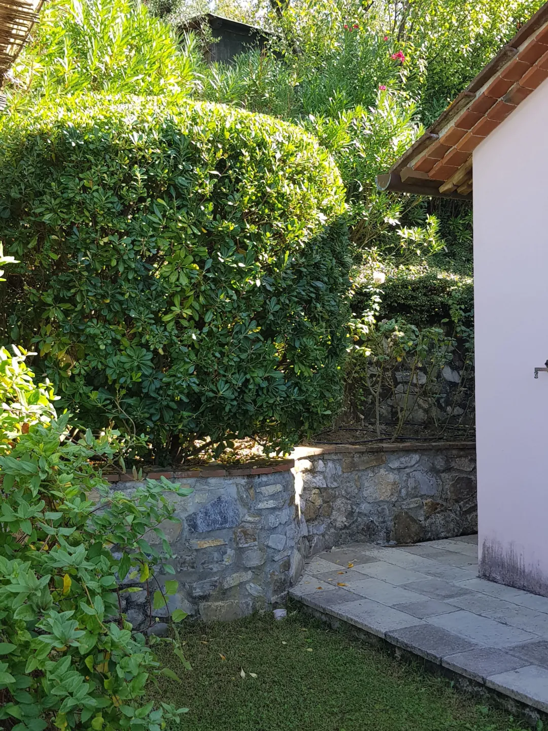 Immagine per Rustico in vendita a Lucca via Dei Poveri Vecchi