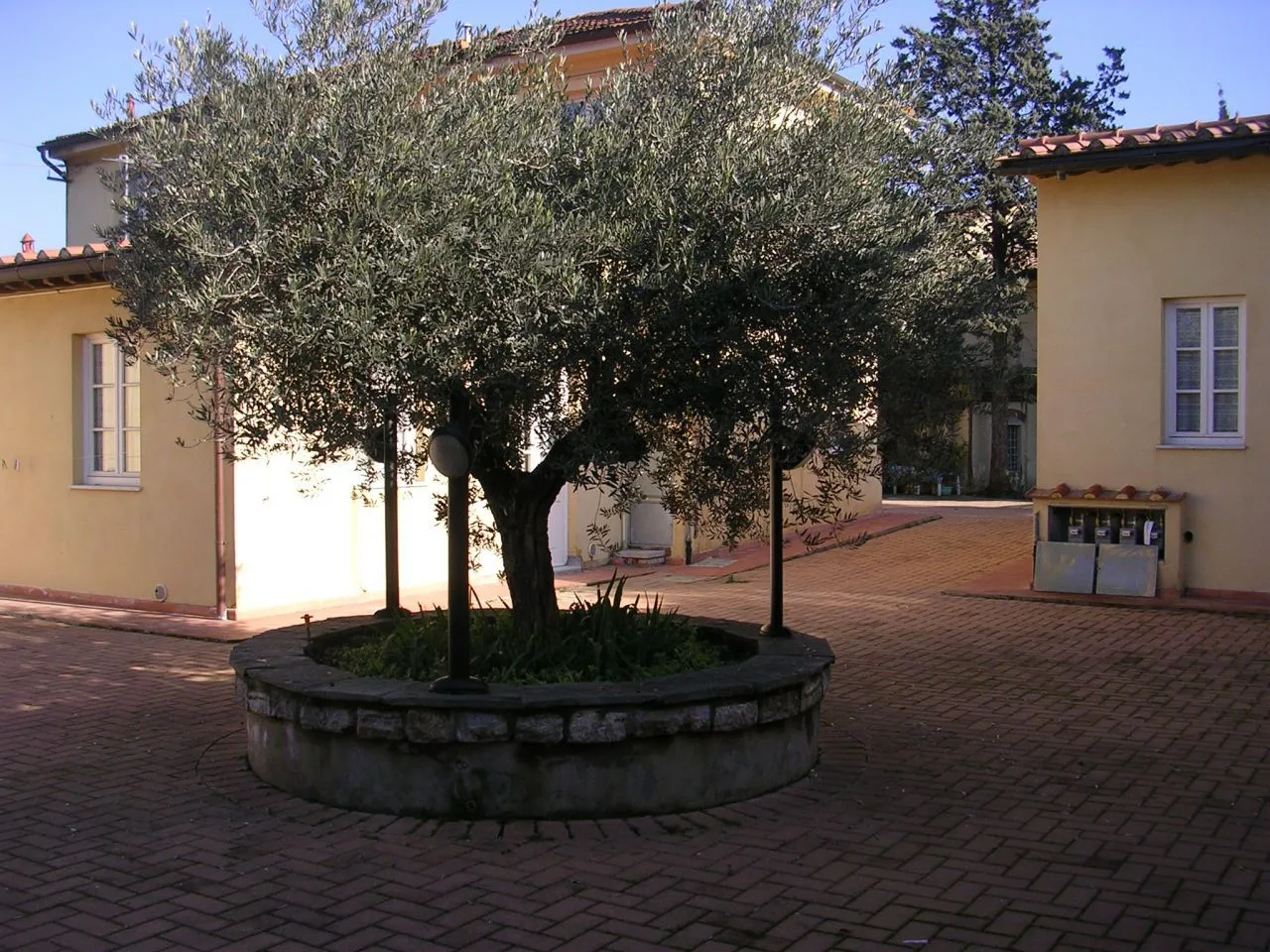Immagine per Rustico in vendita a Capannori via Romana