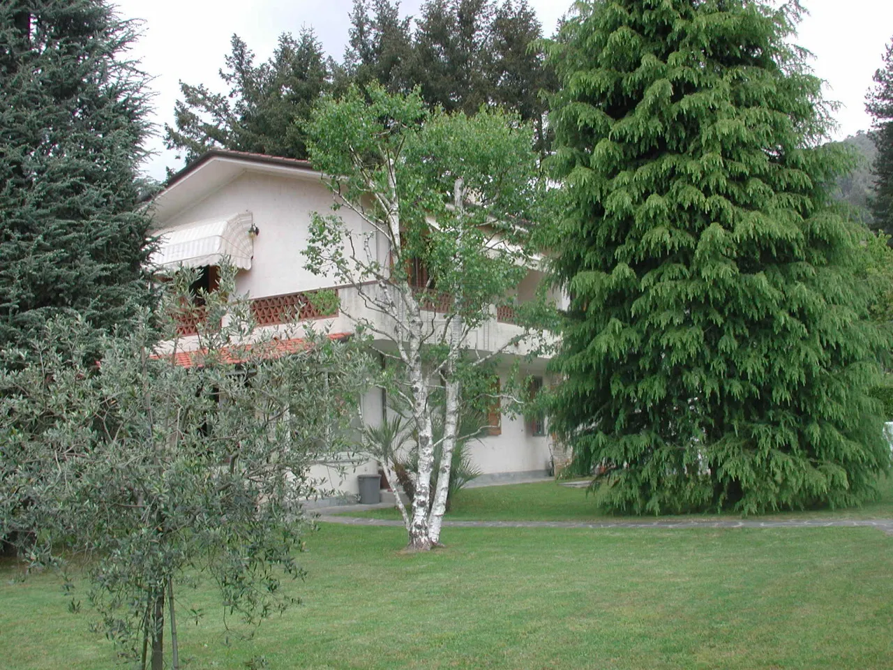 Immagine per Villa in vendita a Camaiore via Sp 1