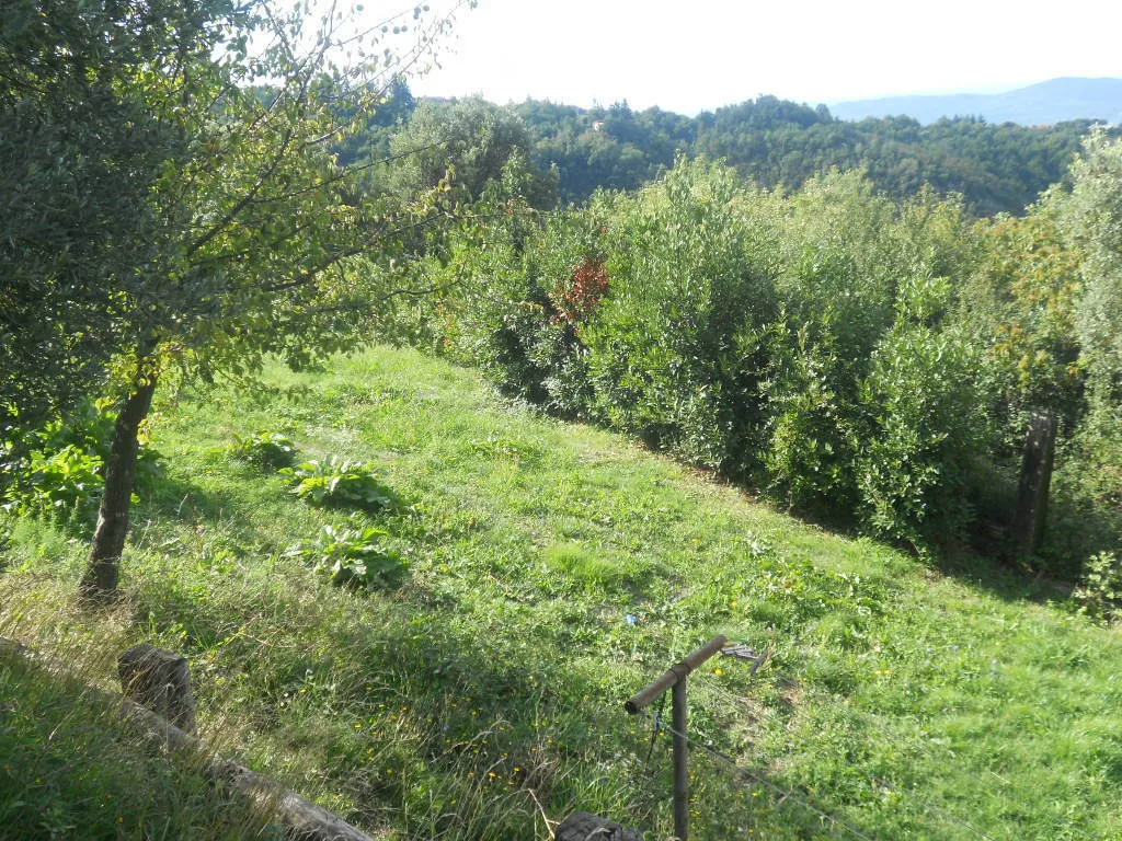 Immagine per Terreno agricolo in vendita a Sarzana via Alta