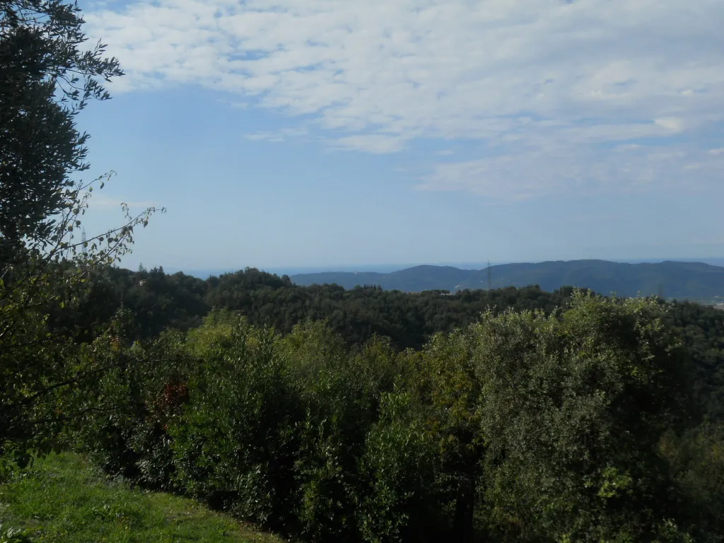 Immagine per Terreno agricolo in vendita a Sarzana via Alta