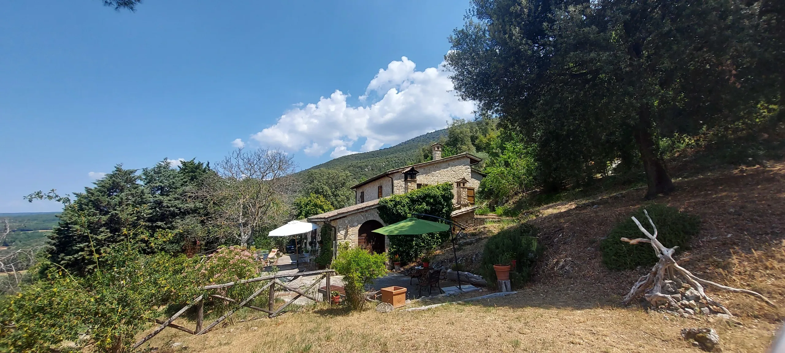 Immagine per Porzione di casa in vendita a Massa Martana via Località Colpetrazzo 109