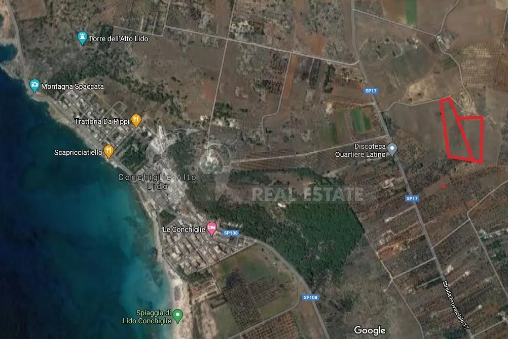 Immagine per Industriale in vendita a Sannicola strada Provinciale 17