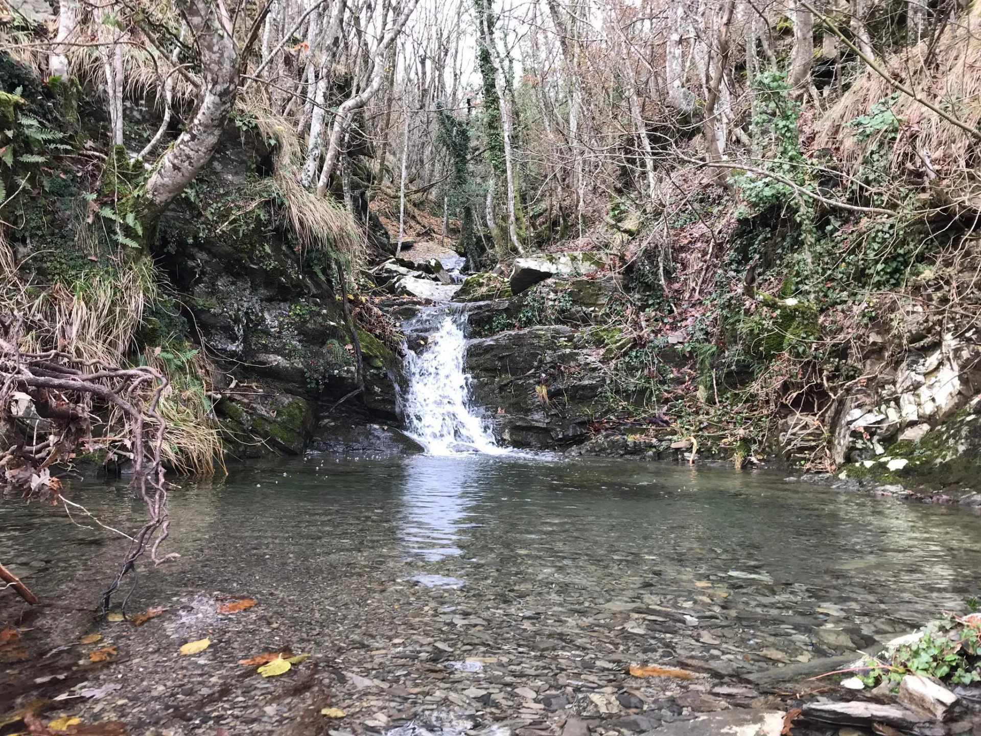 Immagine per casa in vendita a Albareto via Frazione Groppo 30