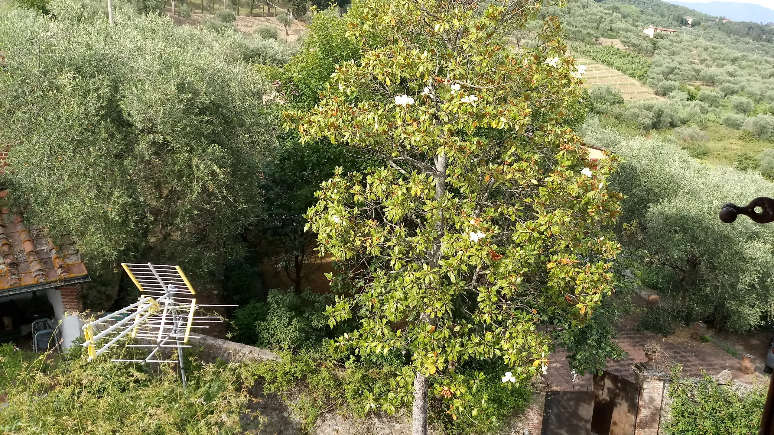 Immagine per Terratetto in vendita a Lucca via Di Matraia