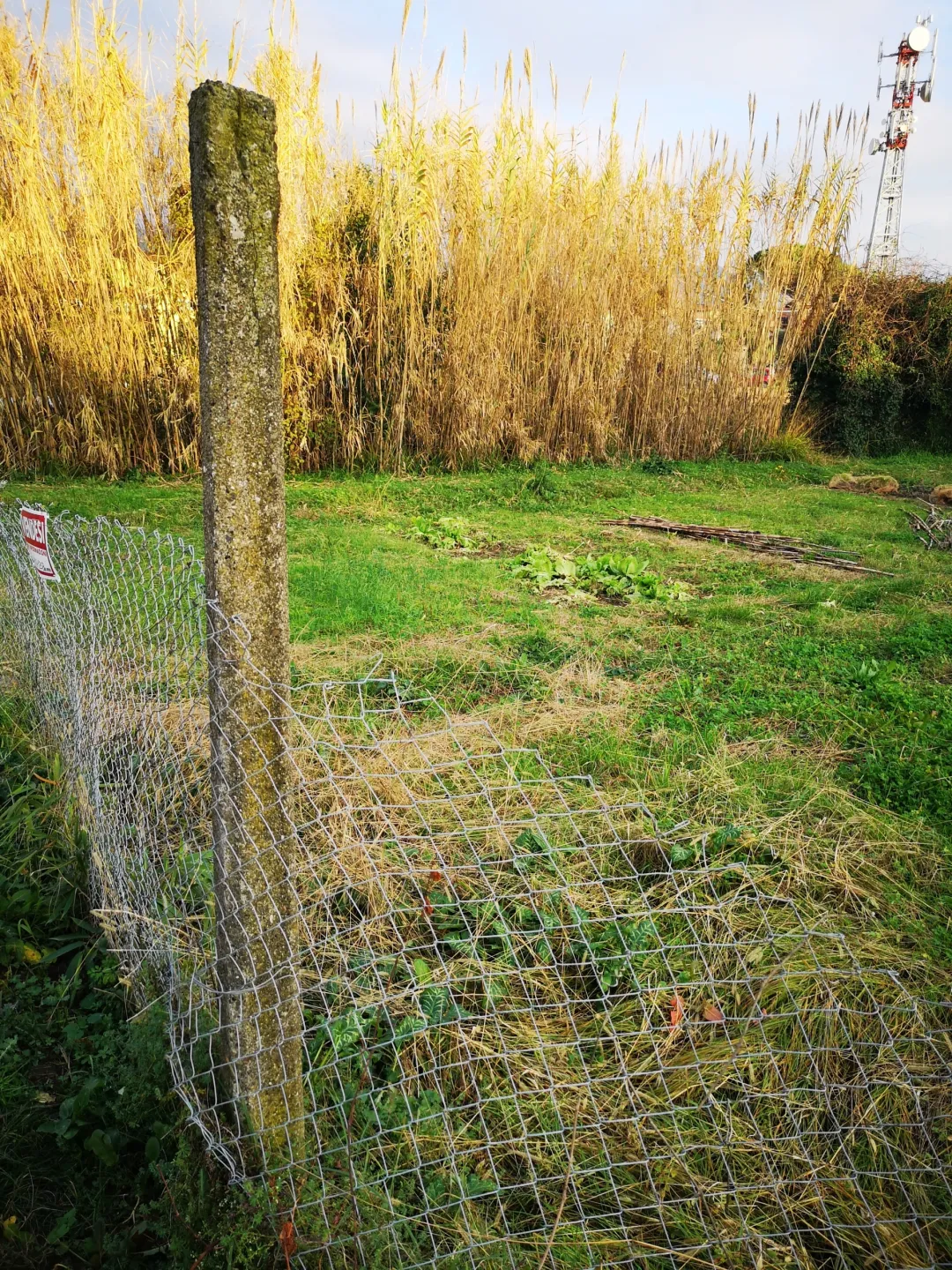 Immagine per Terreno agricolo in vendita a Castelnuovo Magra via Carbone 16