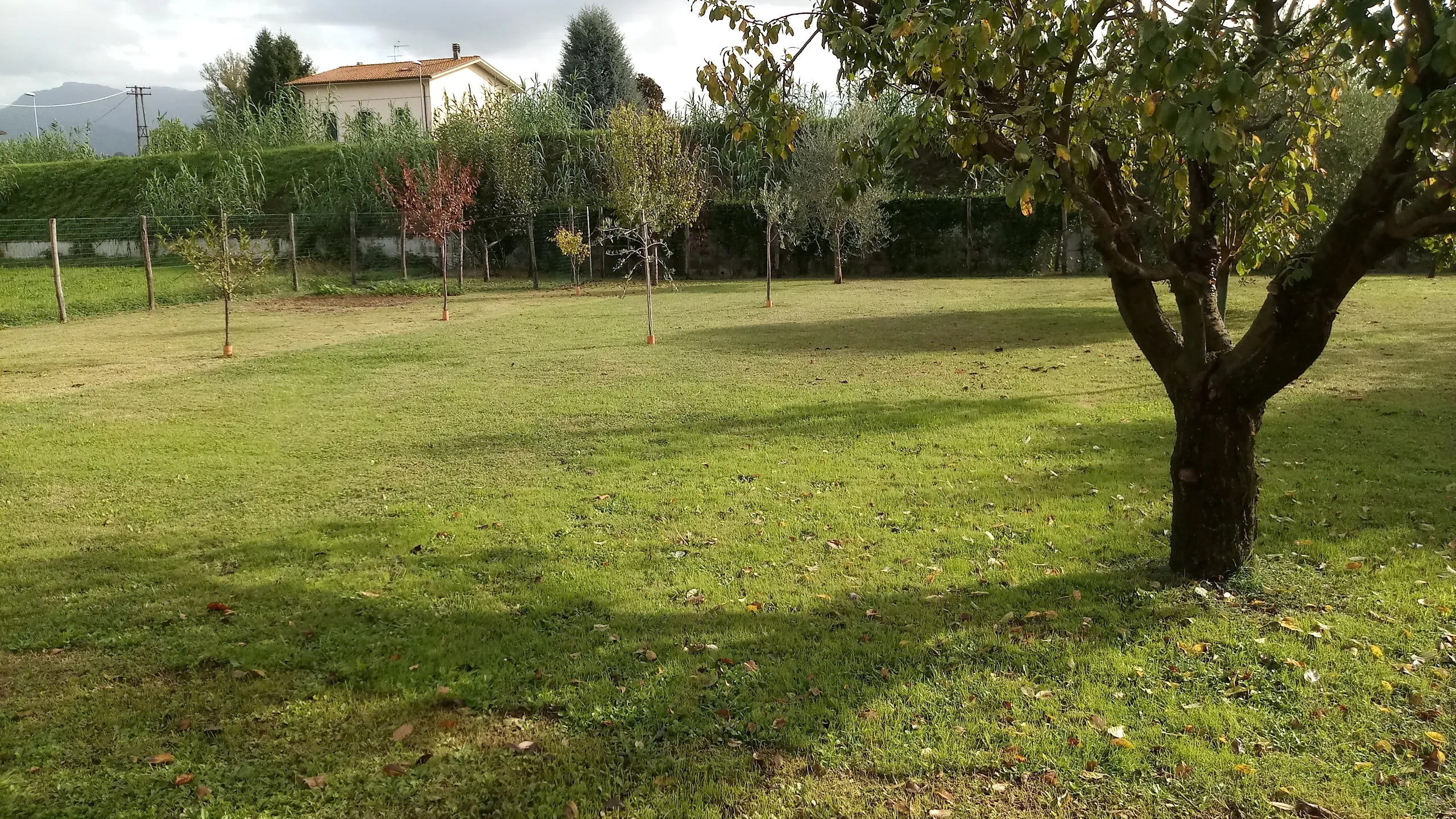 Immagine per Villa in vendita a Lucca via Dei Dorini