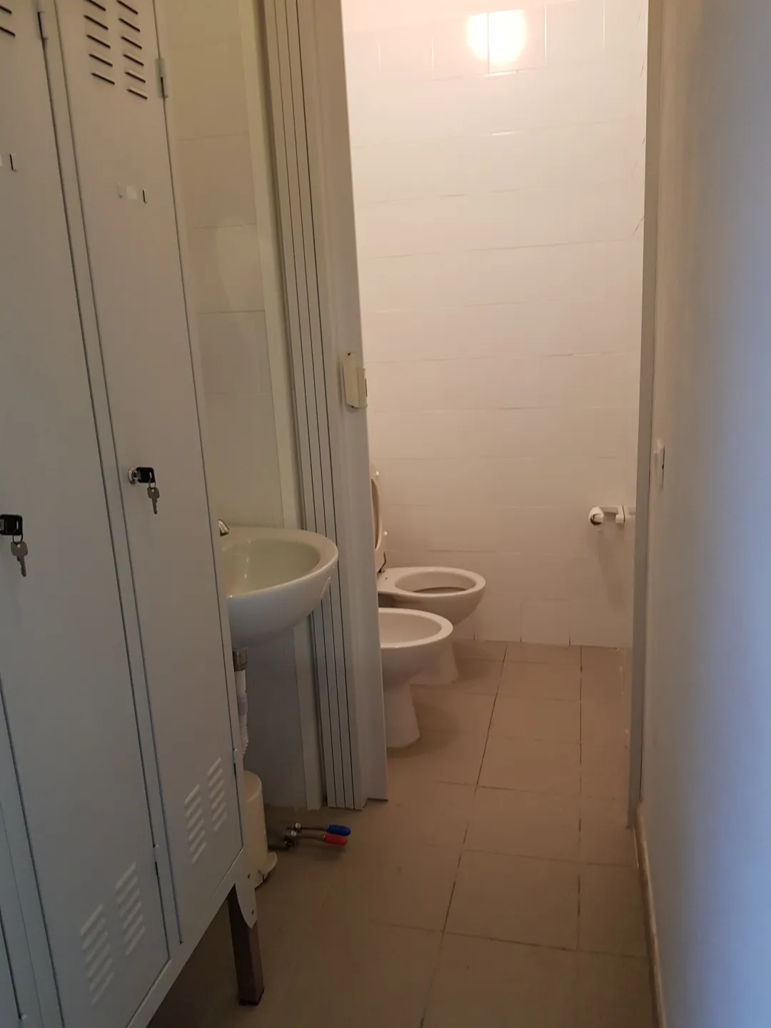 Immagine per Capannone in vendita a Lucca via Pisana