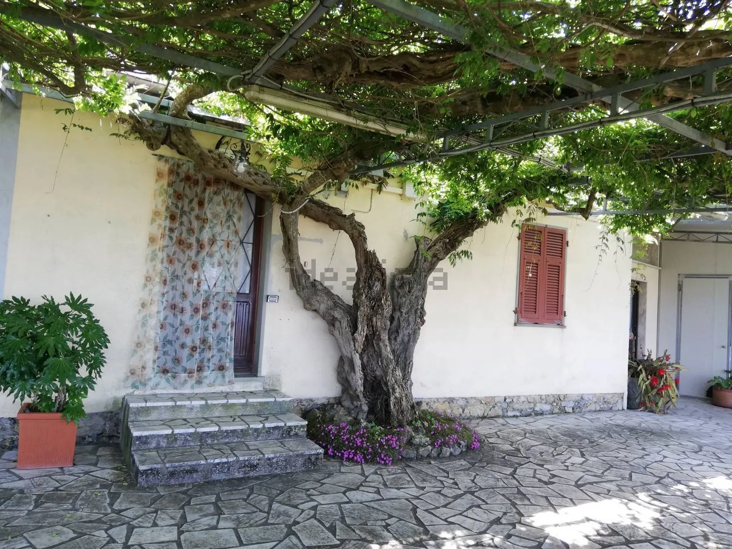 Immagine per Villa trifamiliare in vendita a Castelnuovo Magra via Marciano