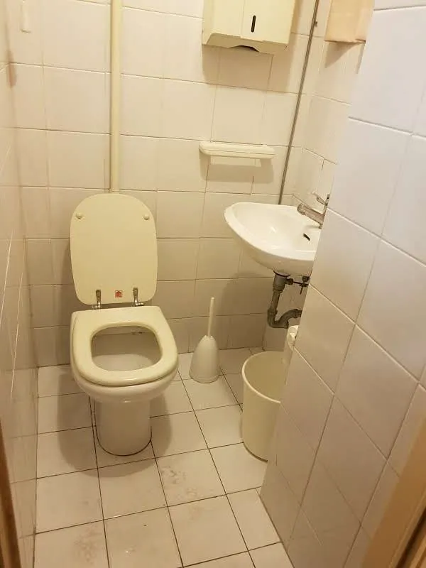 Immagine per Capannone in affitto a Lucca piazza San Michele