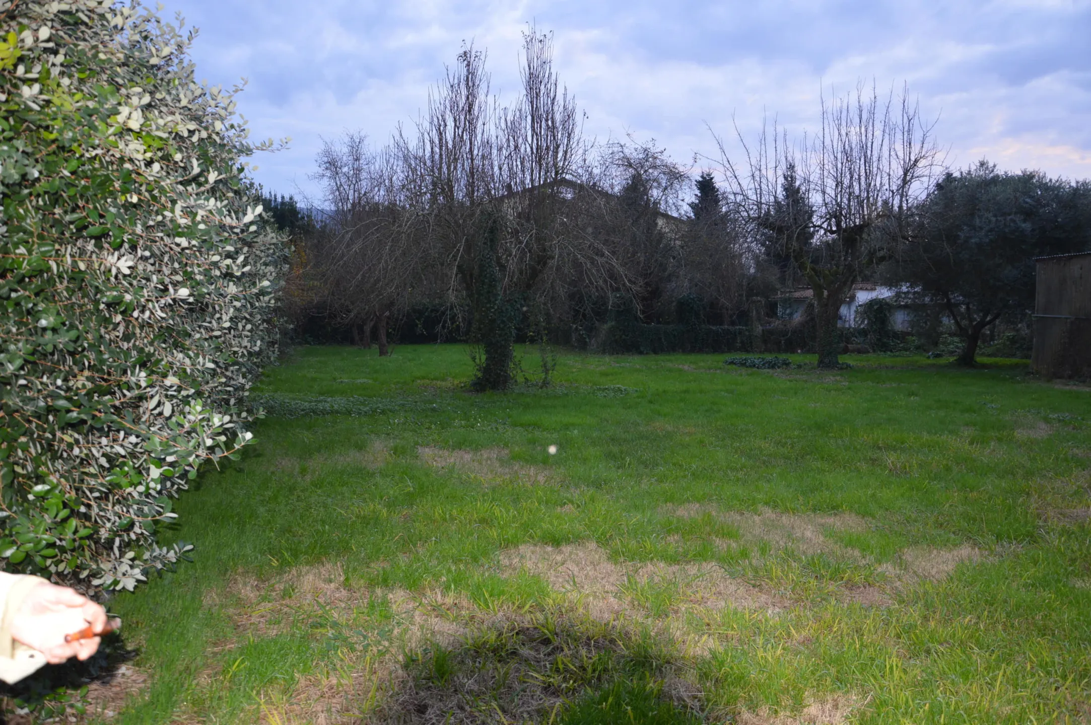 Immagine per Terratetto in vendita a Lucca