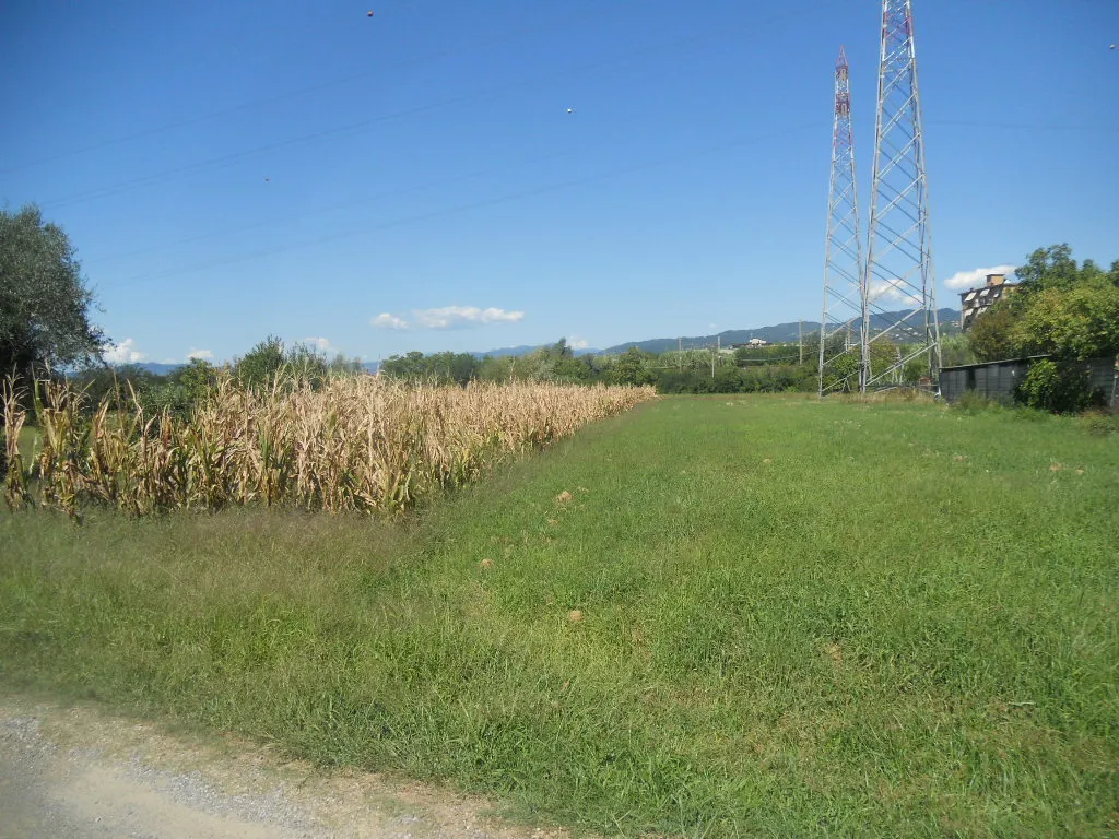 Immagine per Terreno agricolo in vendita a Castelnuovo Magra via Gragnola 36