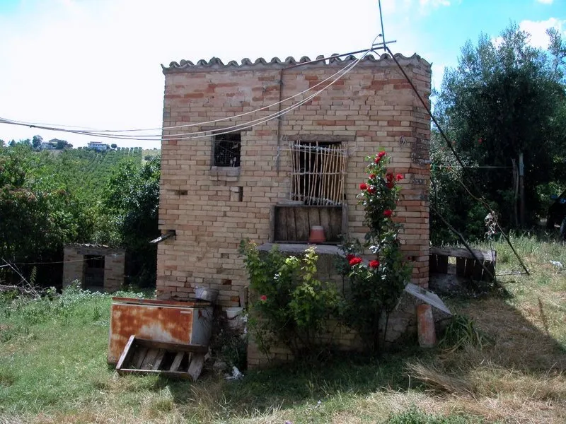 Immagine per Casale in vendita a Monte Rinaldo via Aso
