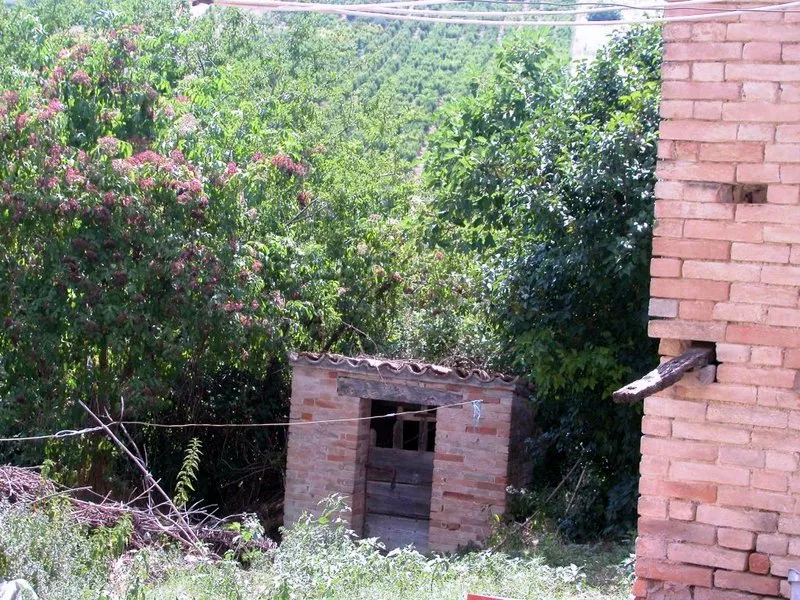 Immagine per Casale in vendita a Monte Rinaldo via Aso