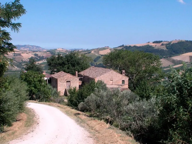 Immagine per Casale in vendita a Monte Rinaldo via Aso