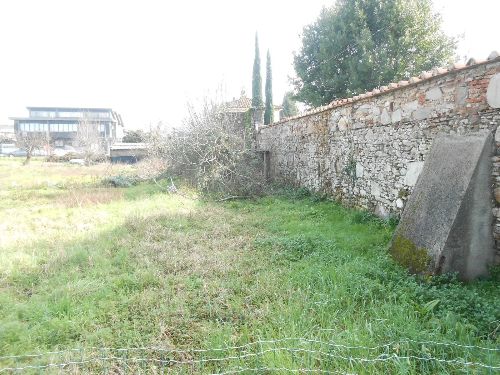 Immagine per Terreno agricolo in vendita a Lucca via Del Palazzaccio